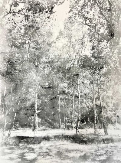 Summer-Woods-1-400x539 Works on paper   